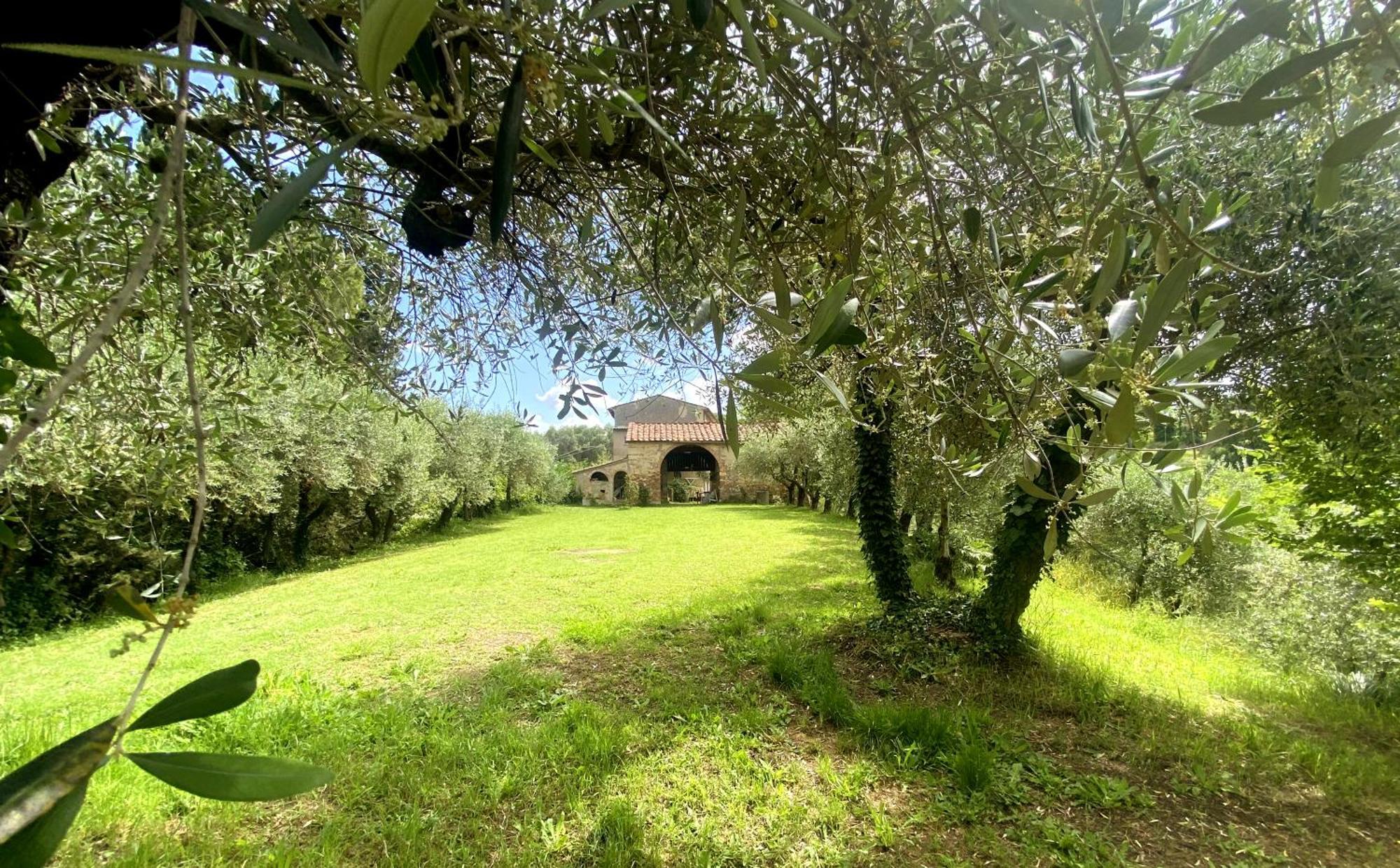 Apartamento La Tonnaia Lari Exterior foto