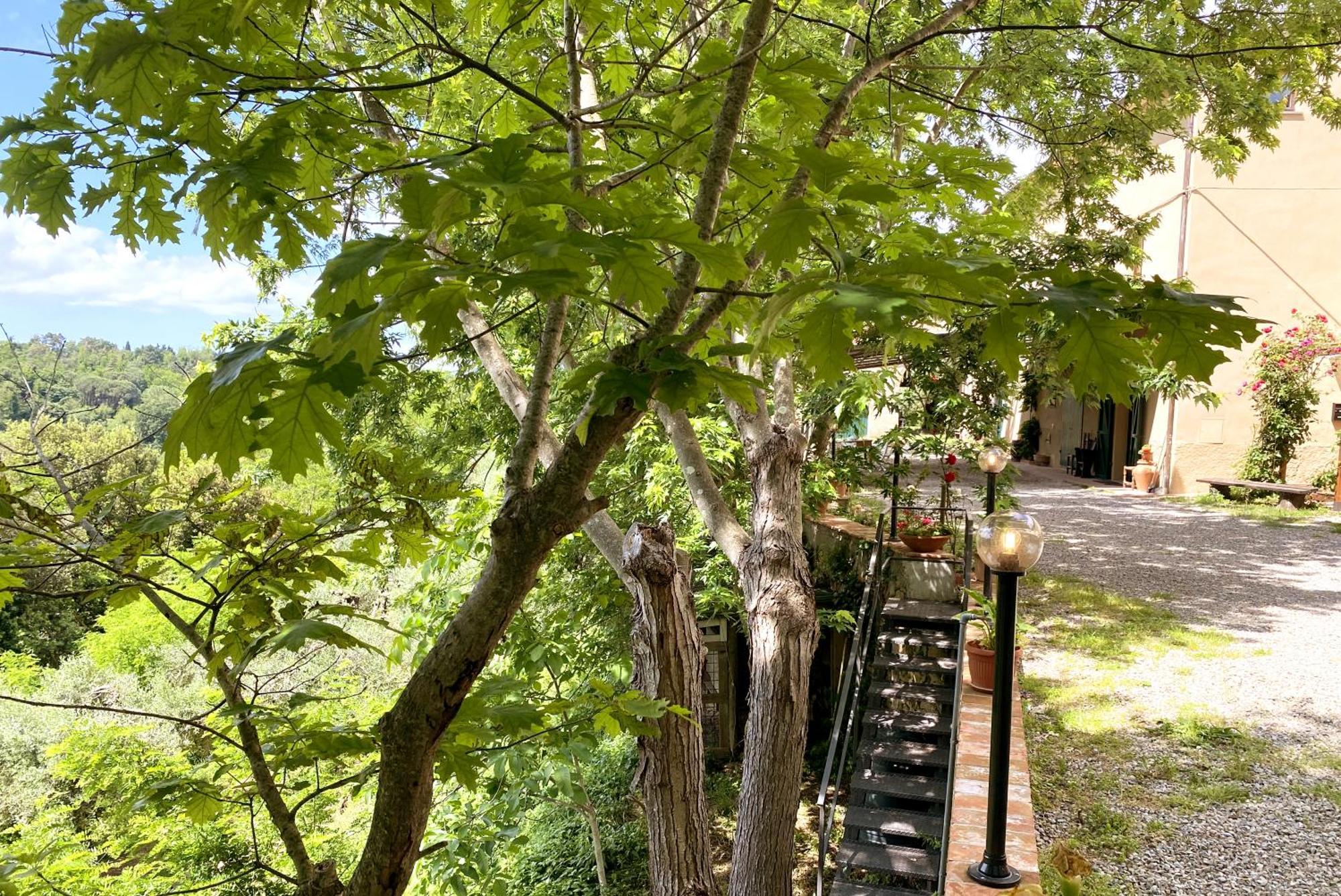 Apartamento La Tonnaia Lari Exterior foto